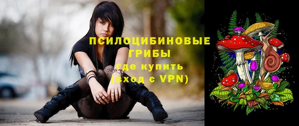 прущий лед Армянск