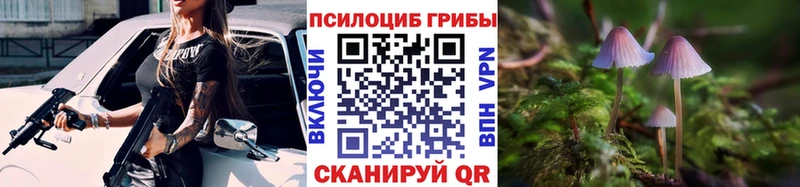 Галлюциногенные грибы Psilocybine cubensis  наркошоп  Липки 